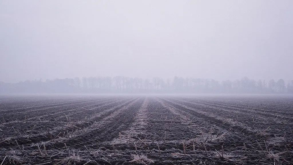 Vaste champ en jachère sous une lumière hivernale douce avec un sol au repos et un horizon lointain, évoquant le repos fertile ancestral
